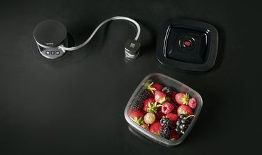 bora_qvac_haltbarmachen_beeren.jpg