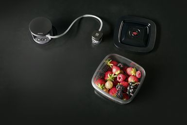 bora_qvac_haltbarmachen_beeren.jpg